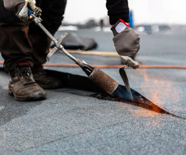 Flat Roofs Flat Roofs